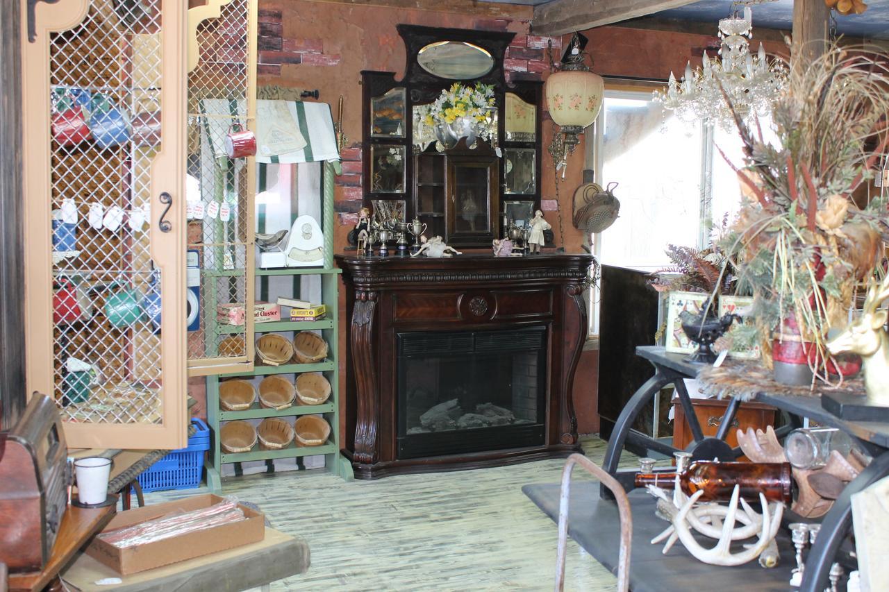 Black Bear Motel Davenport Bagian luar foto